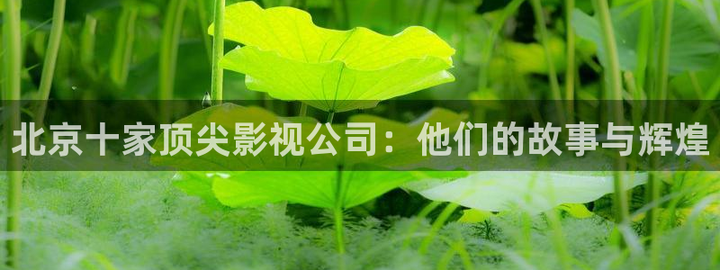 奇优影院电视剧在线高清免费观看