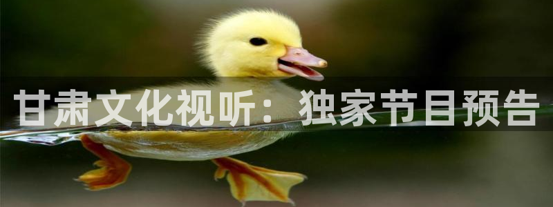奇优影院短视频：甘肃文化视听：独家节目预告