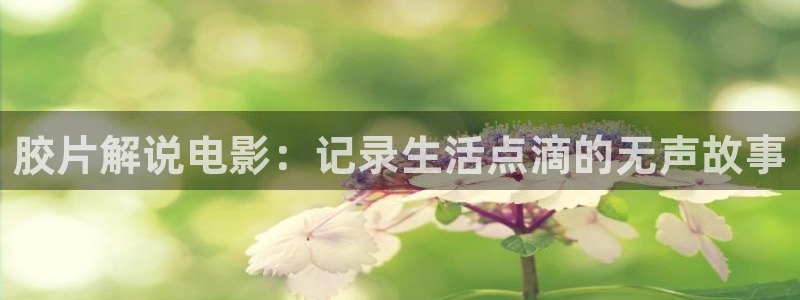 奇优影院免费手机高清版：胶片解说电影：记录生活点滴的无声故事