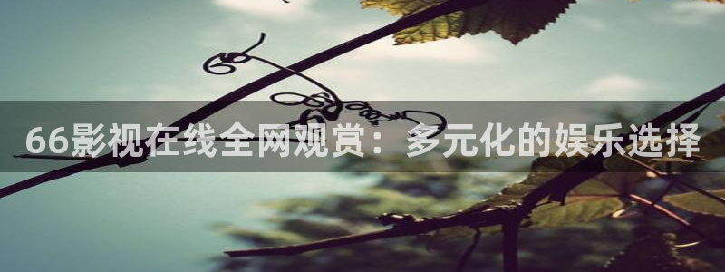 奇优影院理伦：66影视在线全网观赏：多元化的娱乐选择