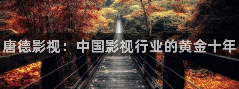 迷人的保姆奇优影视：唐德影视：中国影视行业的黄金十年