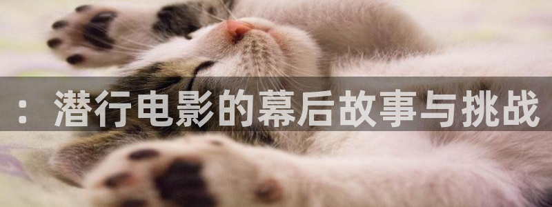 奇优影院网页版：：潜行电影的幕后故事与挑战