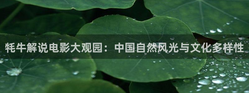 奇优影院 电视剧 电影：牦牛解说电影大观园：中国自然风光与文化多样性