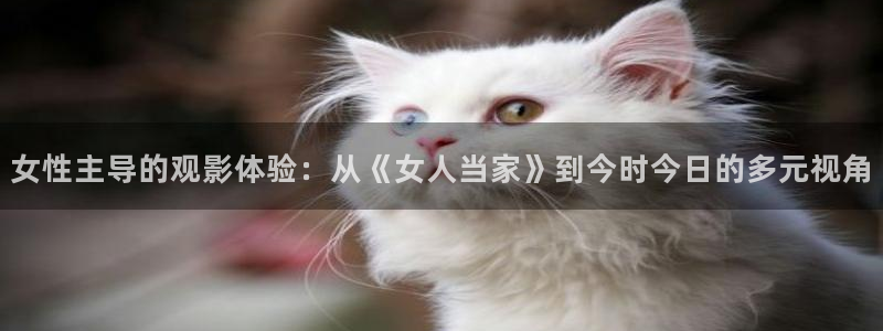 奇优影院伦理片在线观看：女性主导的观影体验：从《女人当家》到今时今日的多元视角