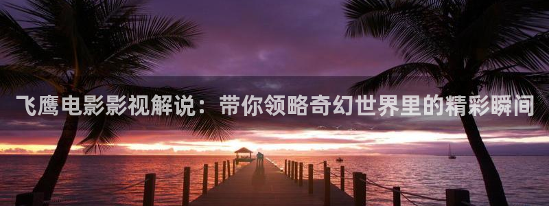 奇优影院电视剧手机版免费首页：飞鹰电影影视解说：带你领略奇幻世界里的精彩瞬间