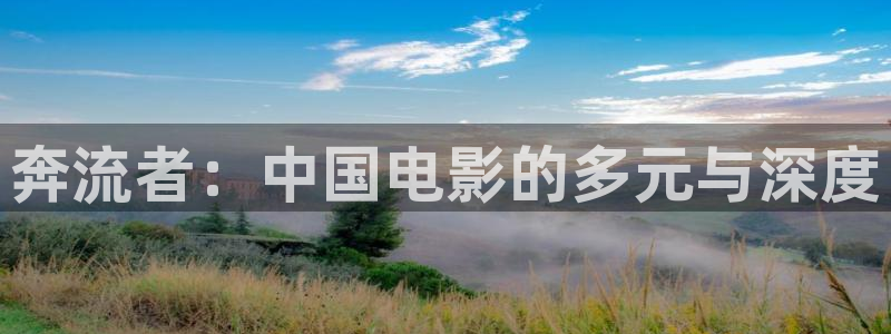 奇优影院 免费手机版：奔流者：中国电影的多元与深度