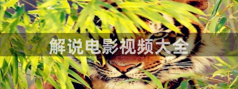 奇优影院手机版在线电视剧免费：解说电影视频大全