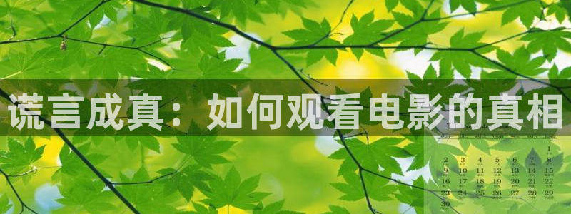 奇优影视将夜：谎言成真：如何观看电影的真相