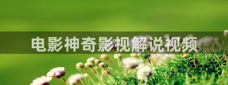 奇优影院在线手机免费播放：电影神奇影视解说视频