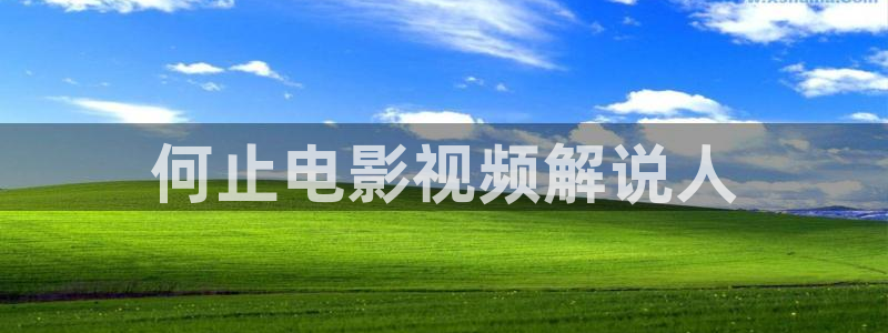 奇优影院在线手机版：何止电影视频解说人