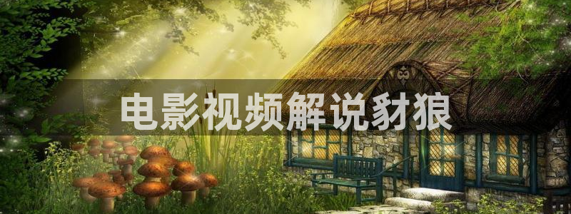 奇优影院手机版高清：电影视频解说豺狼