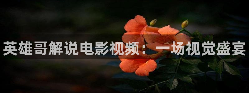奇优影院手机版高清免费：英雄哥解说电影视频：一场视觉盛宴