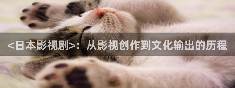 女大学生的沙龙室奇优影院：<日本影视剧>：从影视创作到文化输出的历程