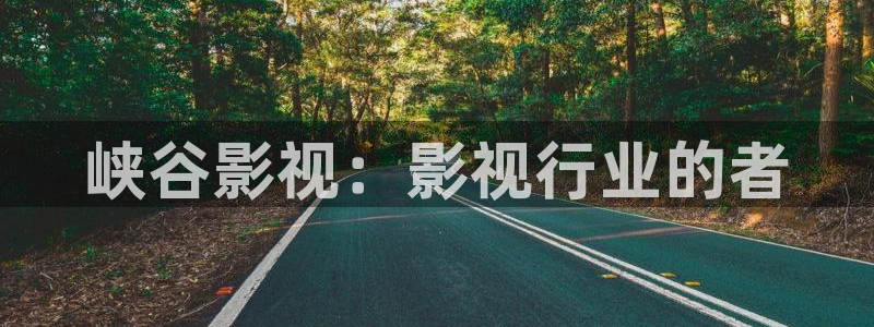 奇优影院手机版_免费高清电影：峡谷影视：影视行业的者