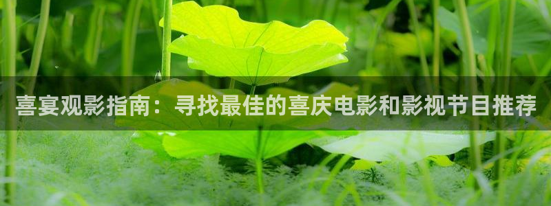 奇优影院电视剧在线观看：喜宴观影指南：寻找最佳的喜庆电影和影视节目推荐