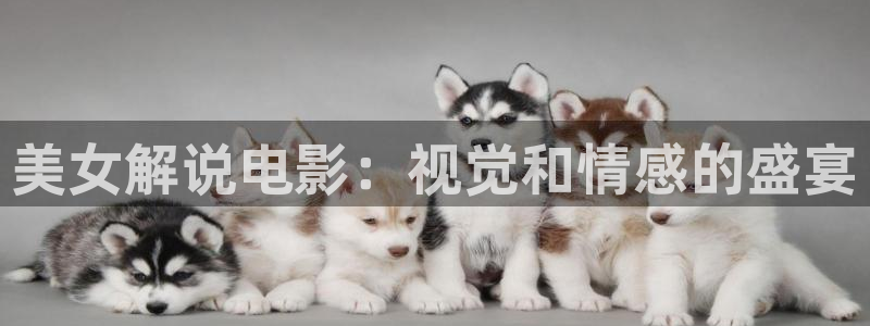 聚会的目的奇优影院：美女解说电影：视觉和情感的盛宴