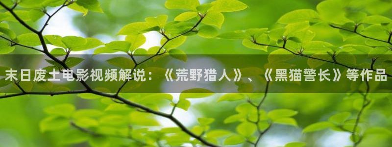 奇优影院在线观看在线观看：末日废土电影视频解说：《荒野猎人》、《黑猫警长》等作品
