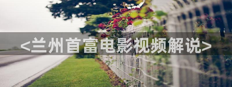 奇优影视免费观看电视剧电视剧：<兰州首富电影视频解说>