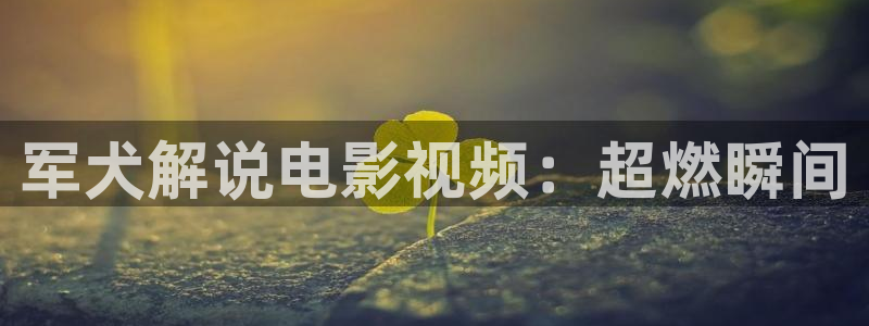 奇优影院手机版怎么看不了：军犬解说电影视频：超燃瞬间