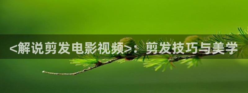 奇优影院旧版手机版免费高清电视剧：<解说剪发电影视频>：剪发技巧与美学