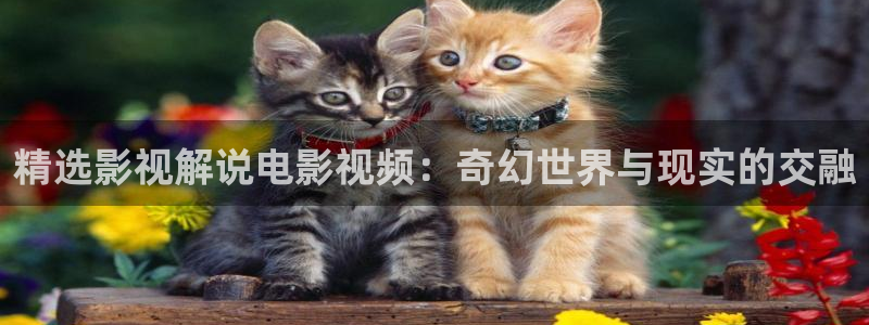 奇优影院高清免费：精选影视解说电影视频：奇幻世界与现实的交融