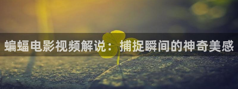 奇优影院手机版怎么打开的：蝙蝠电影视频解说：捕捉瞬间的神奇美感