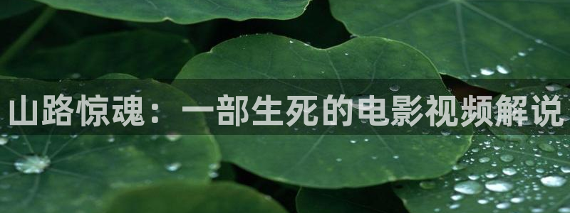 奇优影院在线免费：山路惊魂：一部生死的电影视频解说