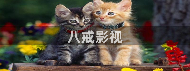 最新片理片奇优影院：八戒影视