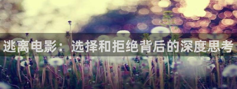 姐姐的朋友奇优影院：逃离电影：选择和拒绝背后的深度思考