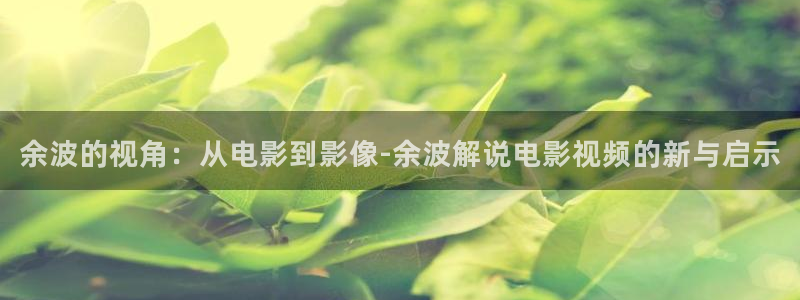 奇优影院理片第一页：余波的视角：从电影到影像-余波解说电影视频的新与启示