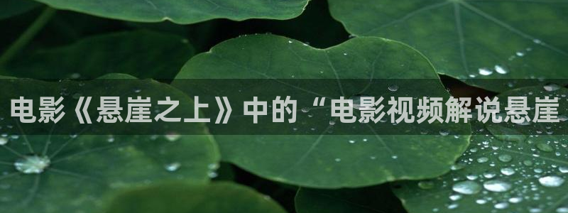 奇优影院最新免费观看：电影《悬崖之上》中的“电影视频解说悬崖