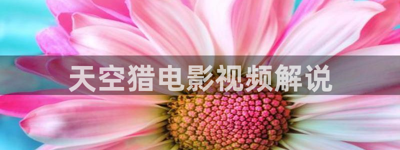 奇优影院第一：天空猎电影视频解说