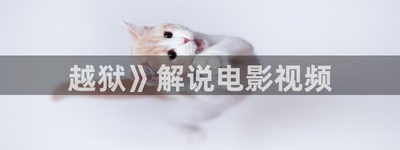 奇优影院手机版免费高清视频：越狱》解说电影视频