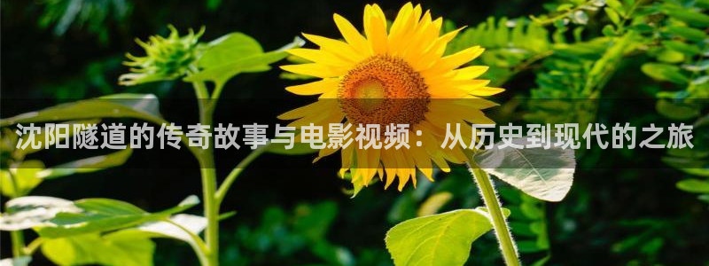 奇优影院在线免费观看手机版：沈阳隧道的传奇故事与电影视频：从历史到现代的之旅