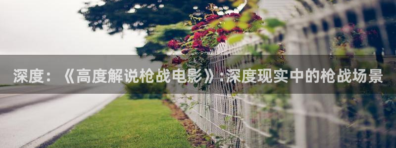 奇优影院手机在线播放诱惑：深度：《高度解说枪战电影》:深度现实中的枪战场景