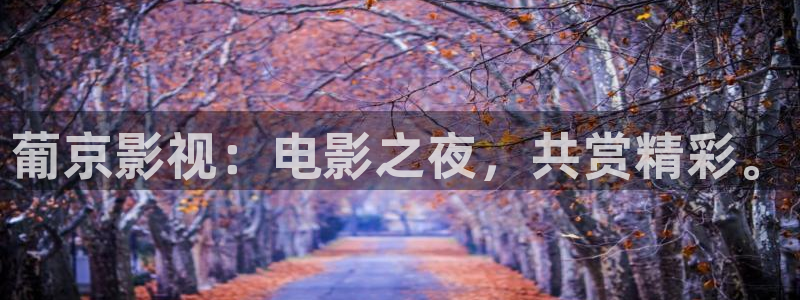 奇优影院网页版：葡京影视：电影之夜，共赏精彩。