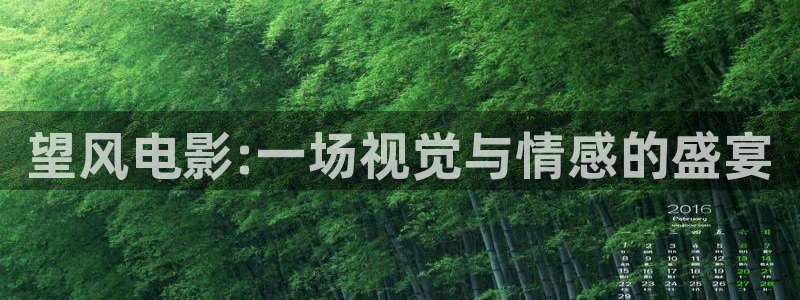 奇优影院电视剧理论免费观看：望风电影:一场视觉与情感的盛宴