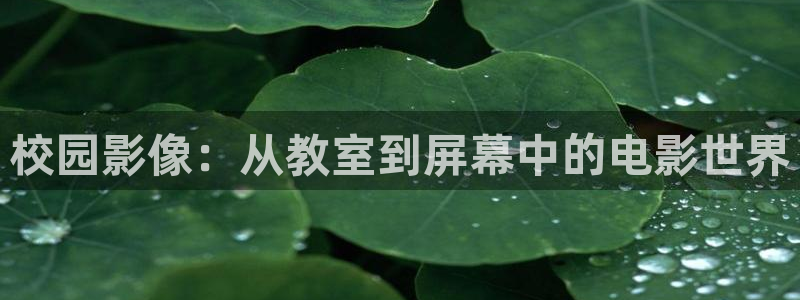 奇优影院在线观看免费高清战狼4：校园影像：从教室到屏幕中的电影世界