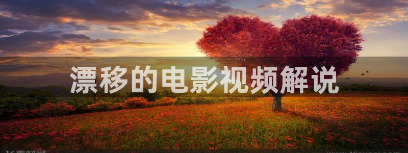 奇优影院手机在线：漂移的电影视频解说
