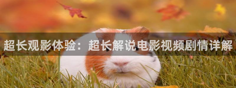 奇优影院免费观看高清完整：超长观影体验：超长解说电影视频剧情详解