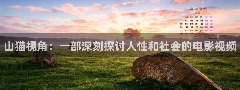 奇优影院热门电影有哪些：山猫视角：一部深刻探讨人性和社会的电影视频