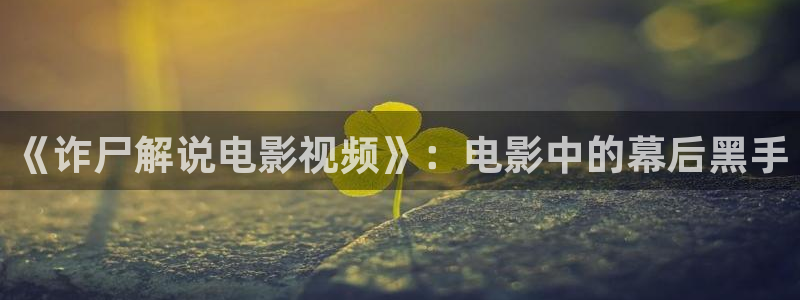 海贼王奇优影院手机版：《诈尸解说电影视频》：电影中的幕后黑手