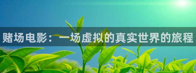 奇优影院电影手机版免费高清电视剧：赌场电影：一场虚拟的真实世界的旅程