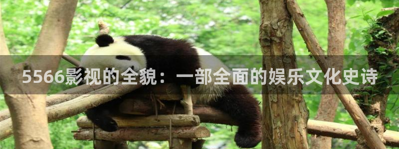 奇优影院 在线观看：5566影视的全貌：一部全面的娱乐文化史诗