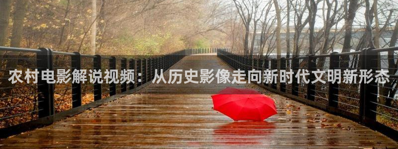 奇优影院免费观看高清完整：农村电影解说视频：从历史影像走向新时代文明新形态