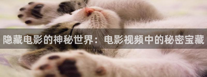 手机版奇优影院免费看：隐藏电影的神秘世界：电影视频中的秘密宝藏