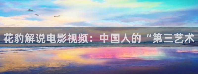 6kkp奇优影院：花豹解说电影视频：中国人的“第三艺术