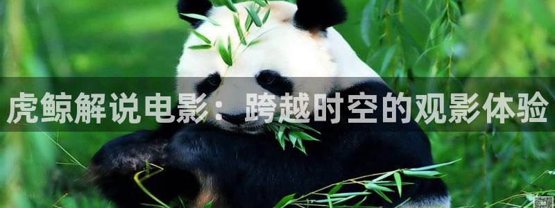 奇优影院在线播放